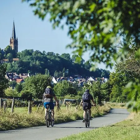 מלון Sonne Frankenberg