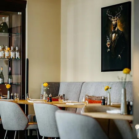 Sonne Frankenberg 4* Frankenberg/Sachsen