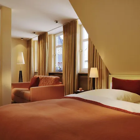 Sonne Frankenberg Hotel 4*