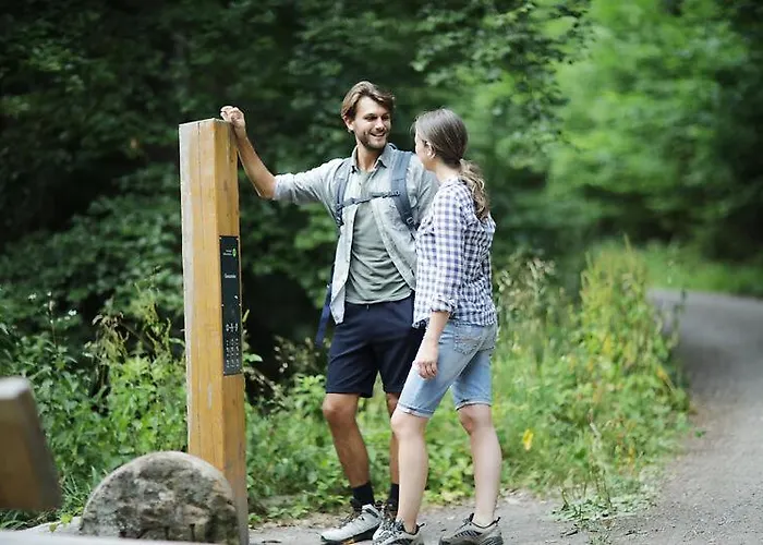 Sonne Frankenberg 4* Frankenberg an der Eder