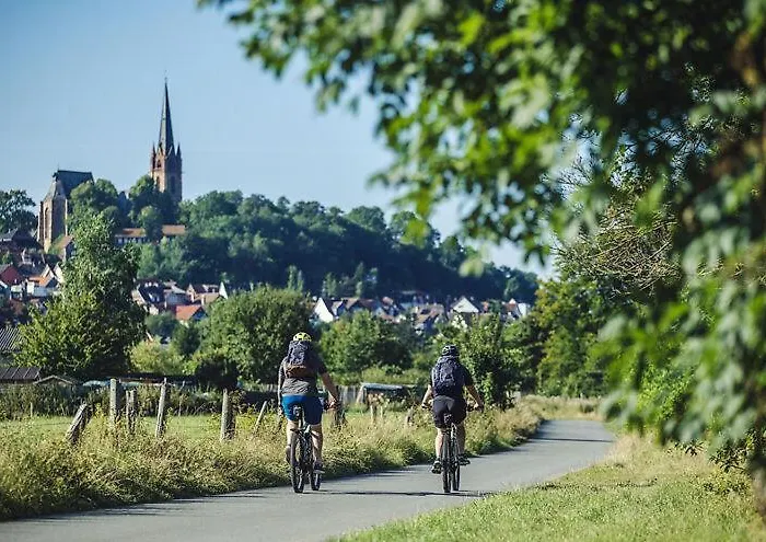 Hotel Sonne Frankenberg