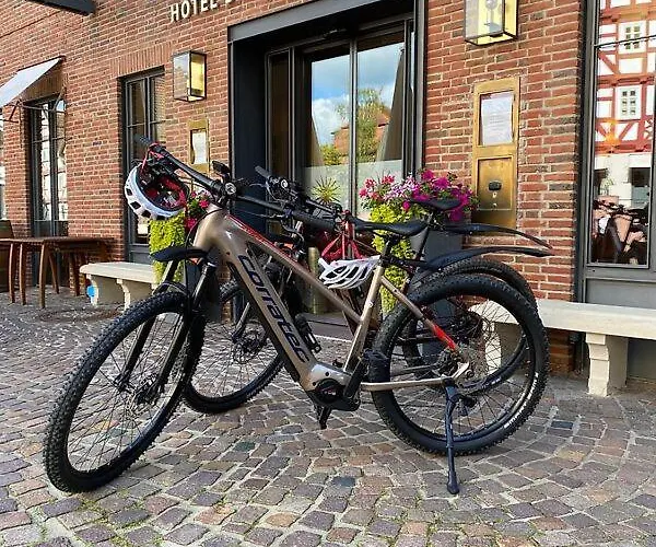 Hotel Sonne Frankenberg 4*