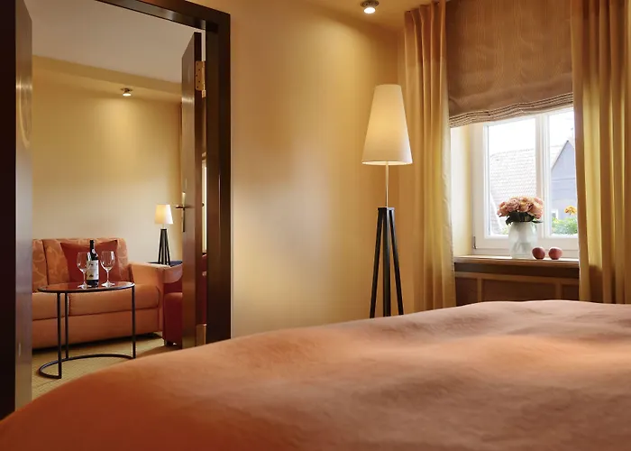 Sonne Frankenberg Hotel 4*